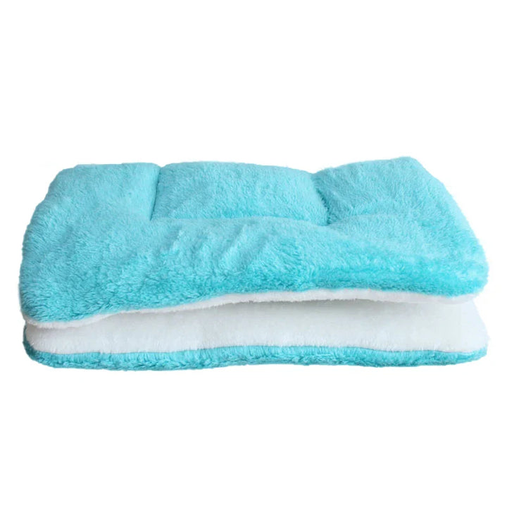 Thickened Dog Mat