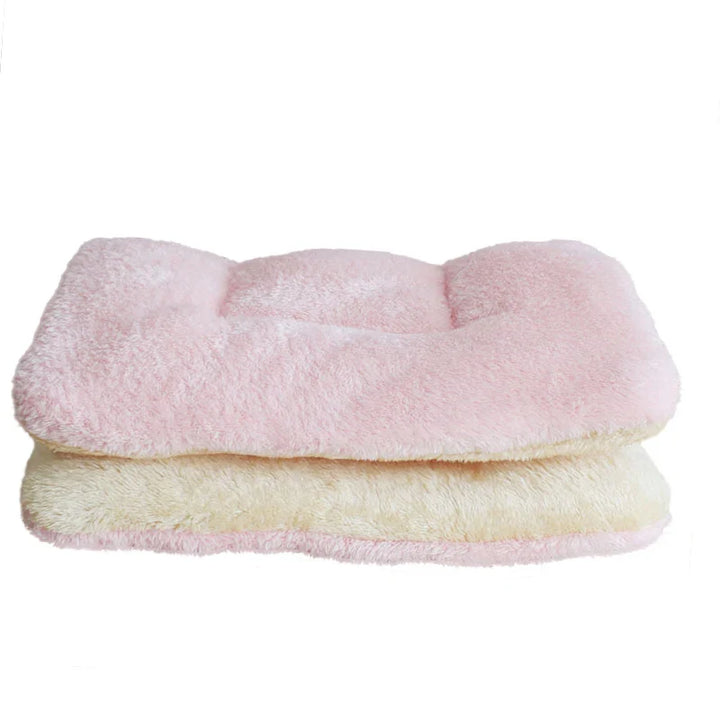 Thickened Dog Mat