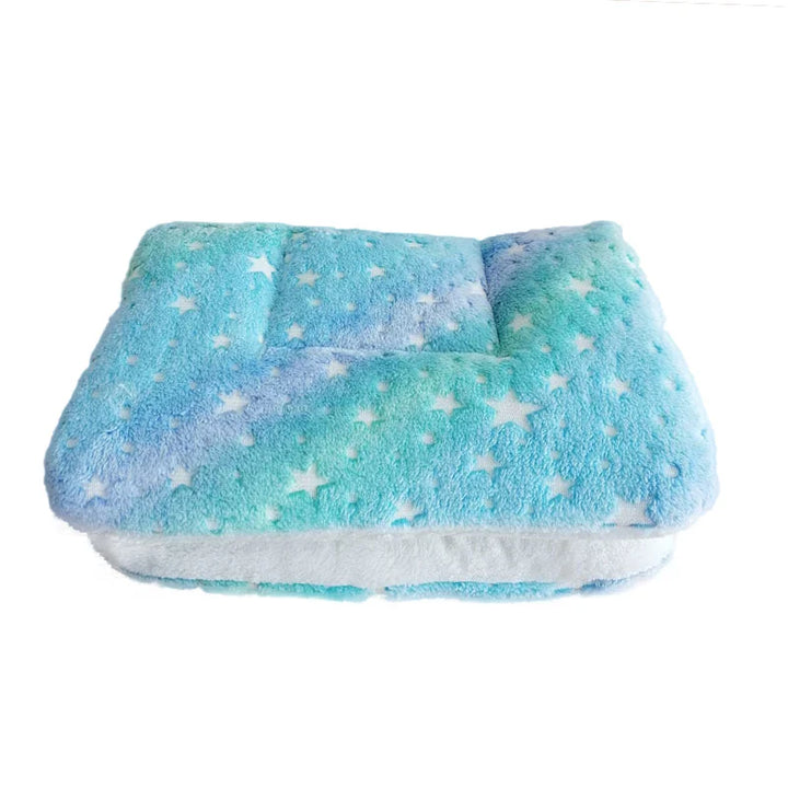 Thickened Dog Mat