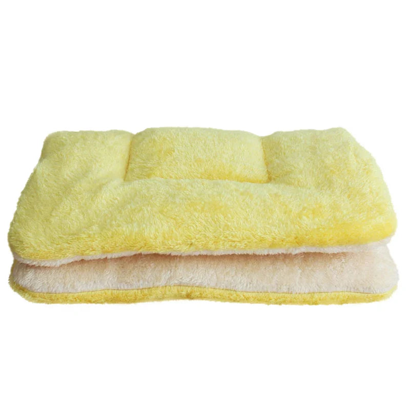 Thickened Dog Mat
