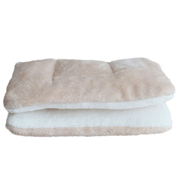 Thickened Dog Mat