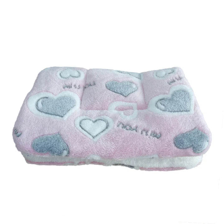 Thickened Dog Mat