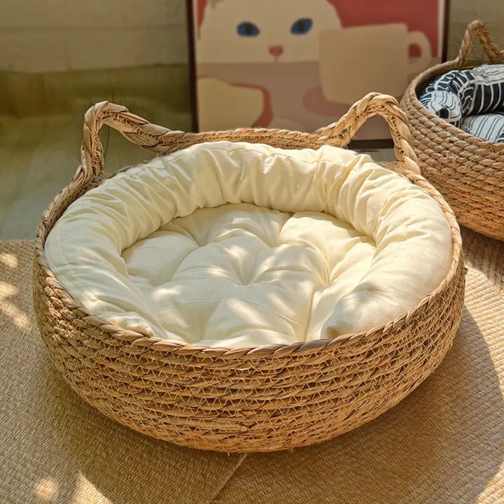 Cat Basket