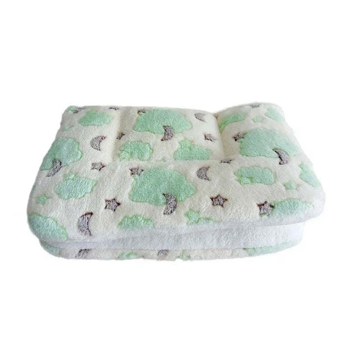 Thickened Dog Mat