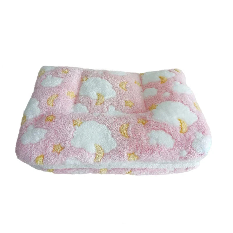 Thickened Dog Mat