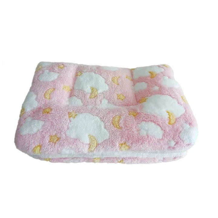 Thickened Dog Mat